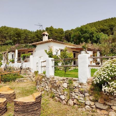 Villa Huerta Nacimiento Montecorto Luaran gambar