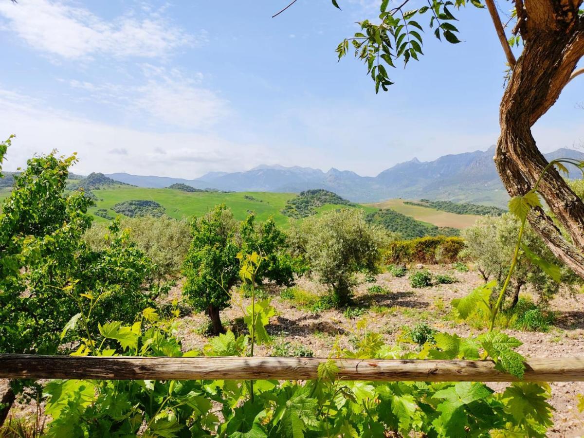 Villa Huerta Nacimiento Montecorto Luaran gambar